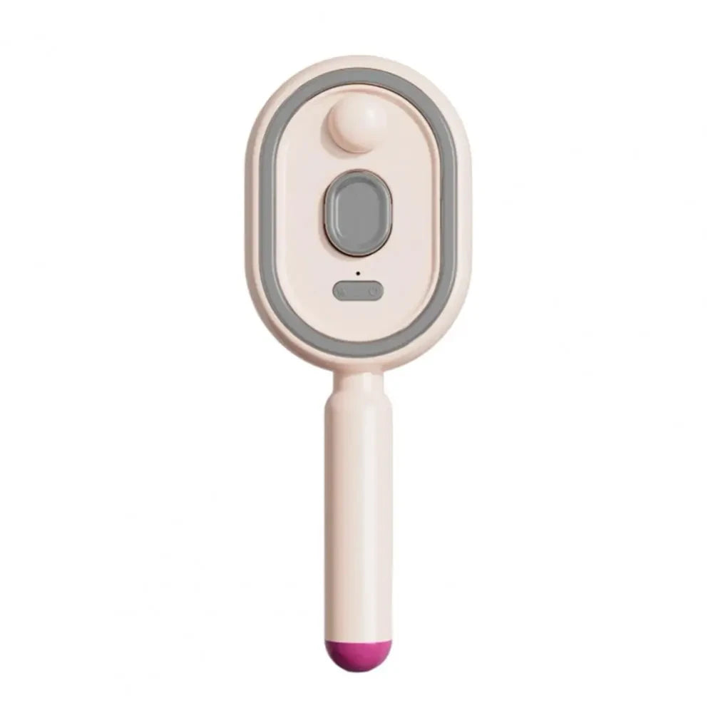 Electric Misting Hair Brush